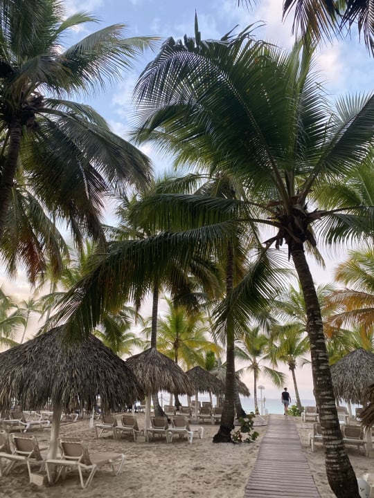 Strand Catalonia Royal La Romana - Adults only