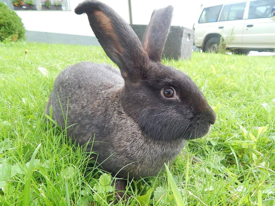 Magy Gästehaus Pr Ambružarju