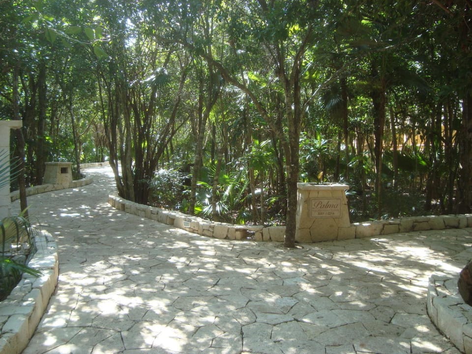 Auf dem Weg zum Strand Catalonia Royal Tulum Beach & Spa Resort - Adults only