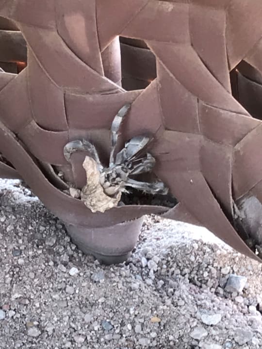 Strand Makadi Spa - Adults only