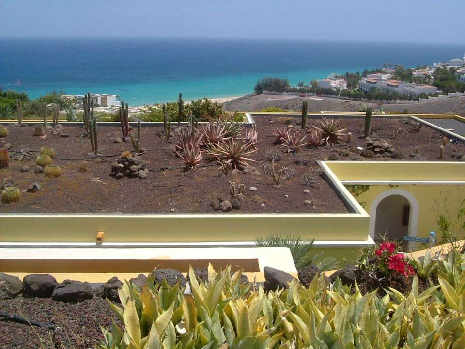 Die Badebucht AluaVillage Fuerteventura