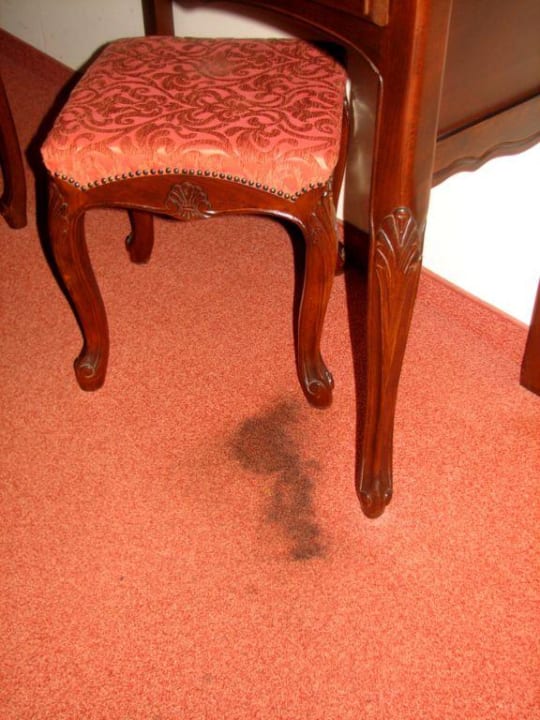 Der Fleck! GRIFID Aqua Club Bolero