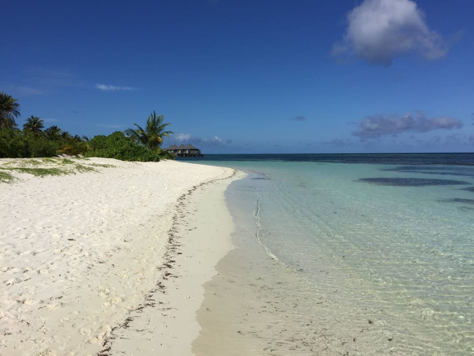 Strand Nordseite der Insel Kuredu Island Resort & Spa