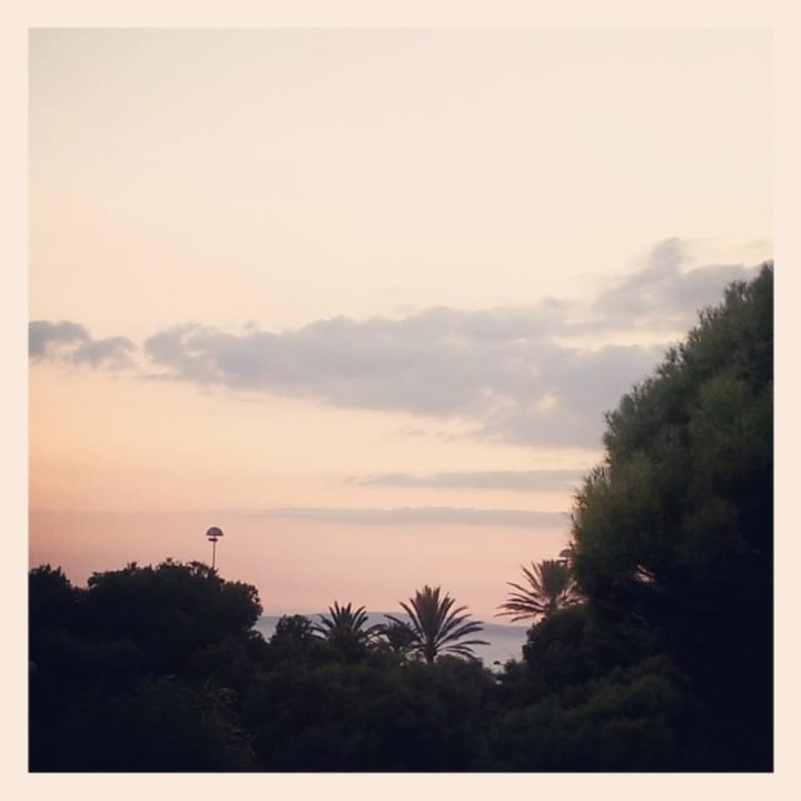 Ausblick Aparthotel Houm Plaza Son Rigo