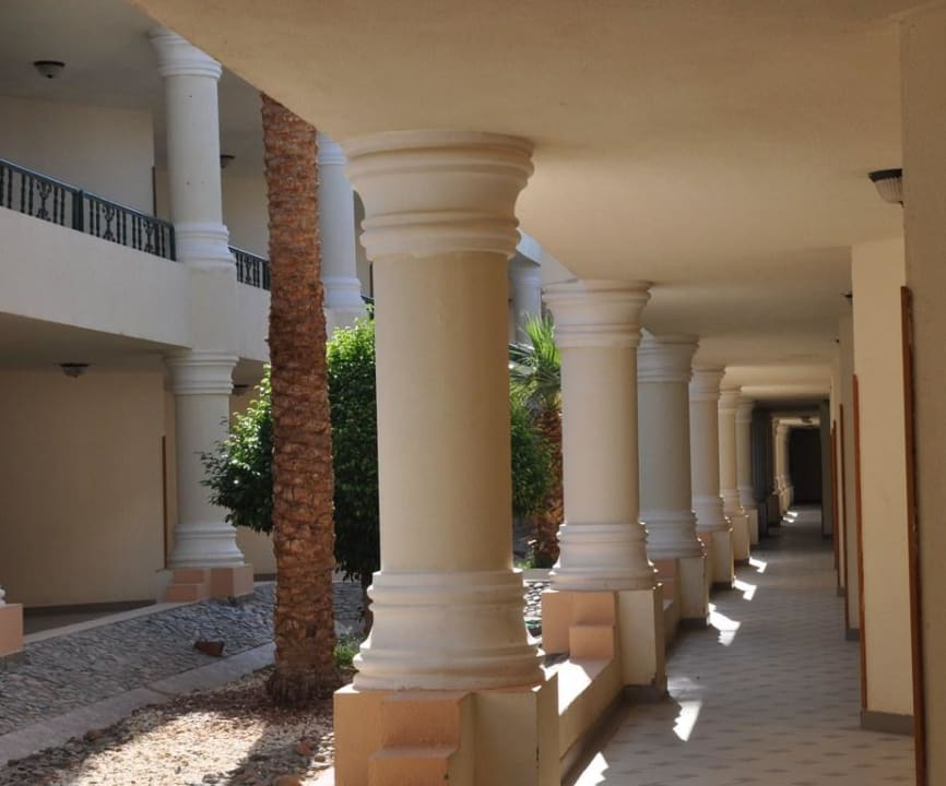 Widok hotelu Ali Baba Palace Hotel
