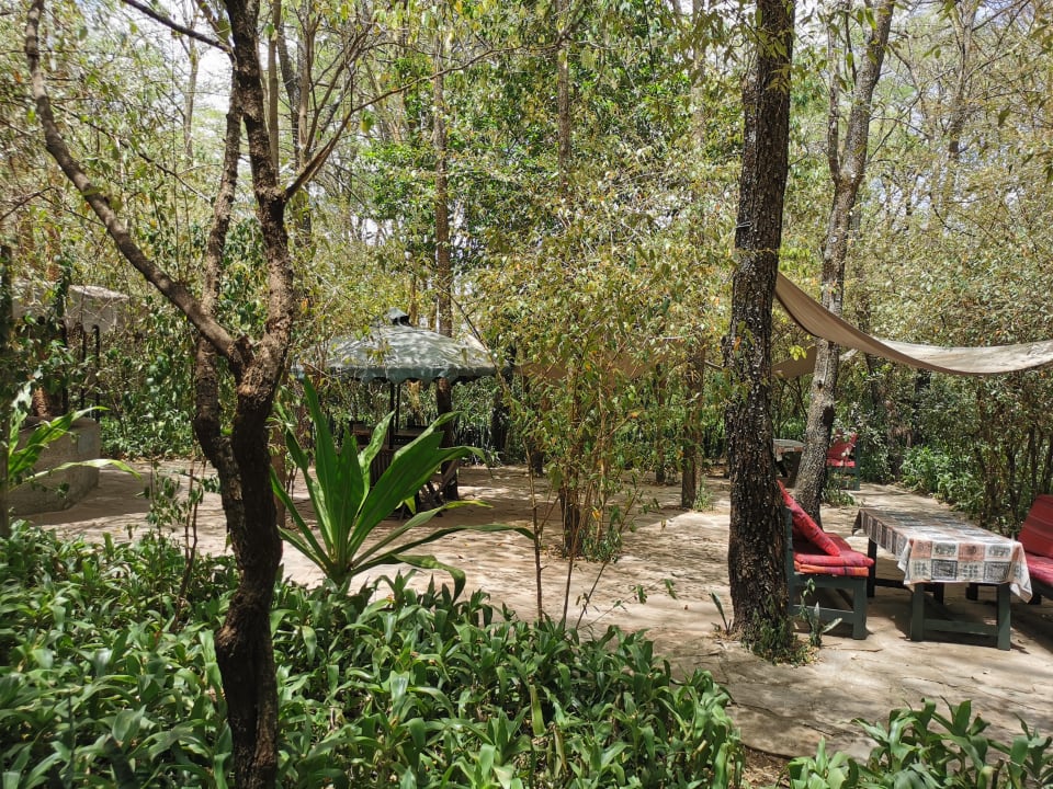 Gartenanlage Aruba-Mara Camp