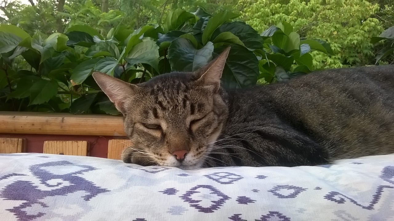 Sonstiges LYKIA lodge | home of happiness