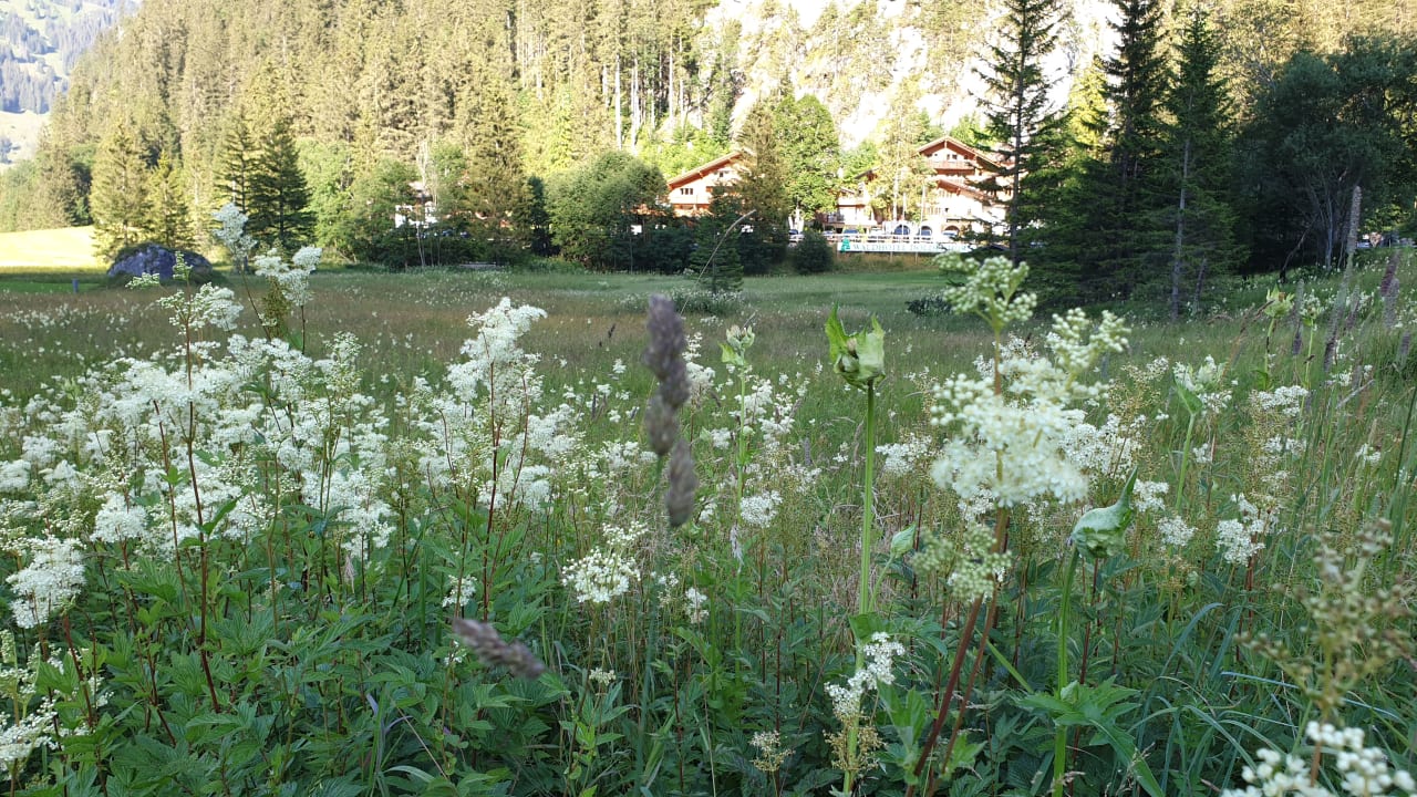 Gartenanlage Waldhotel Doldenhorn & Landgasthof Ruedihus