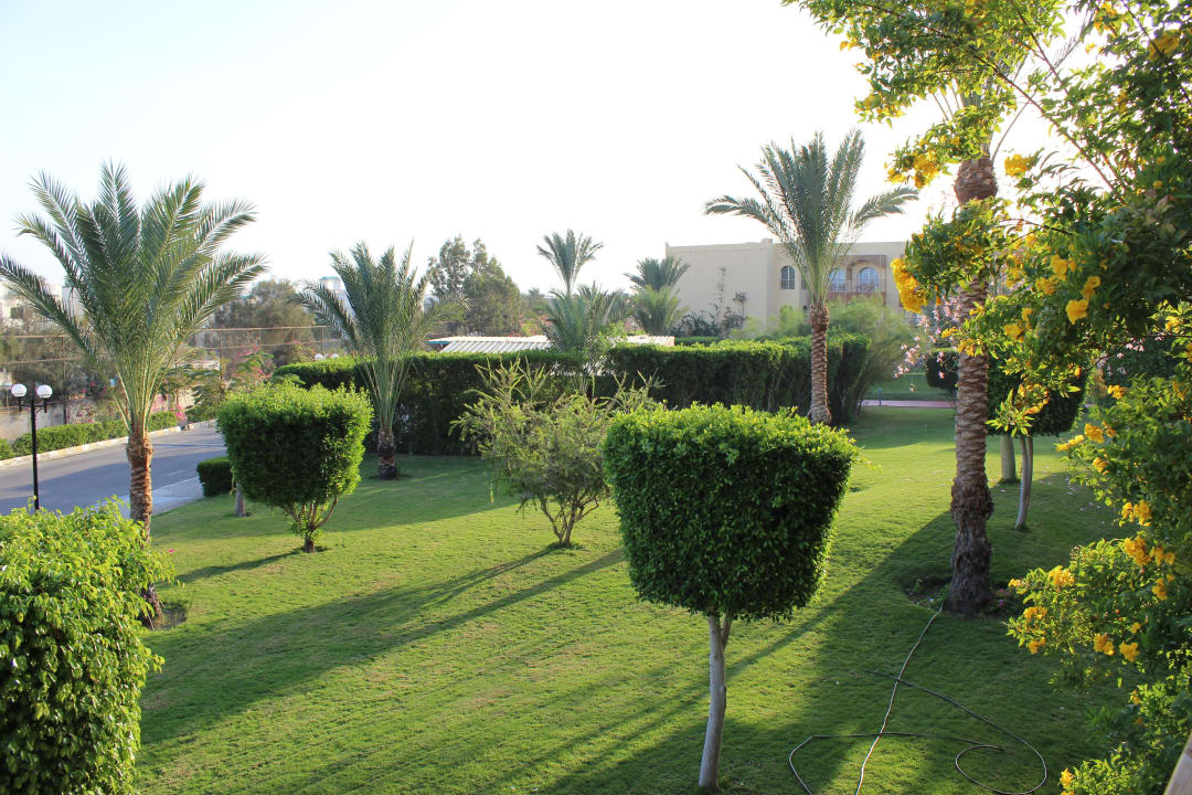 Вид из номера  Desert Rose