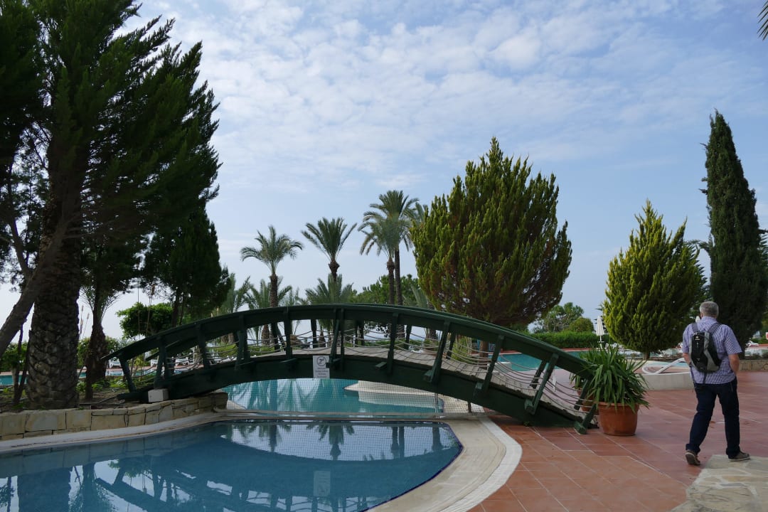 Nett PALOMA Perissia