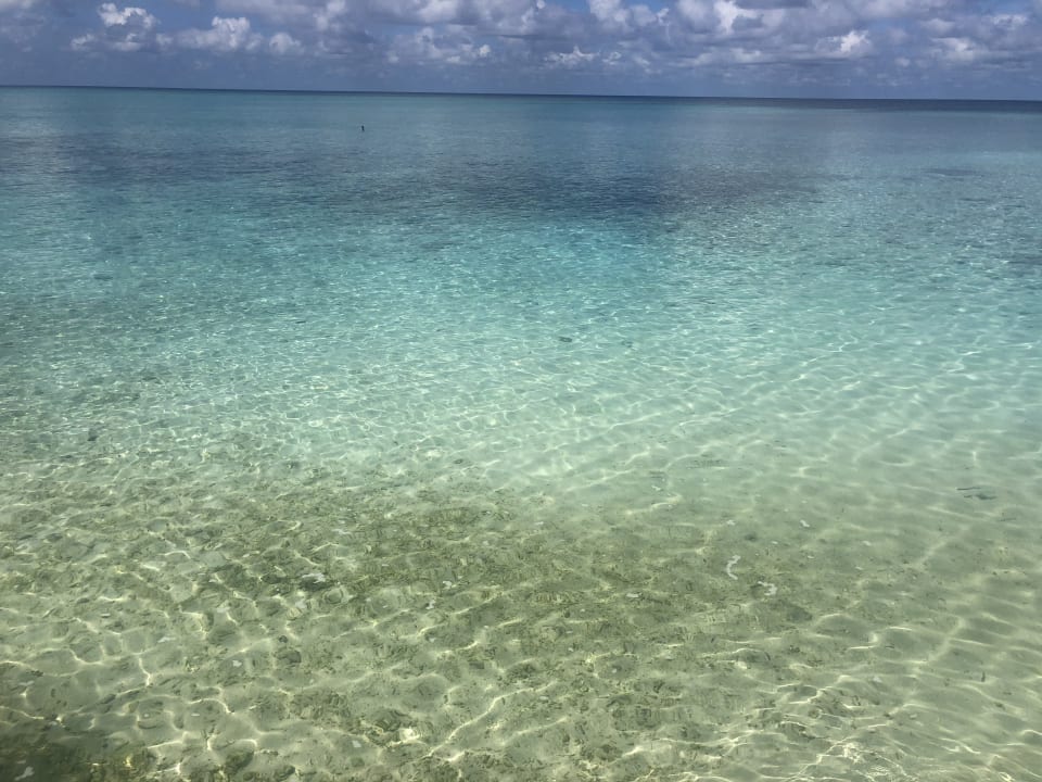 Ausblick Summer Island Maldives