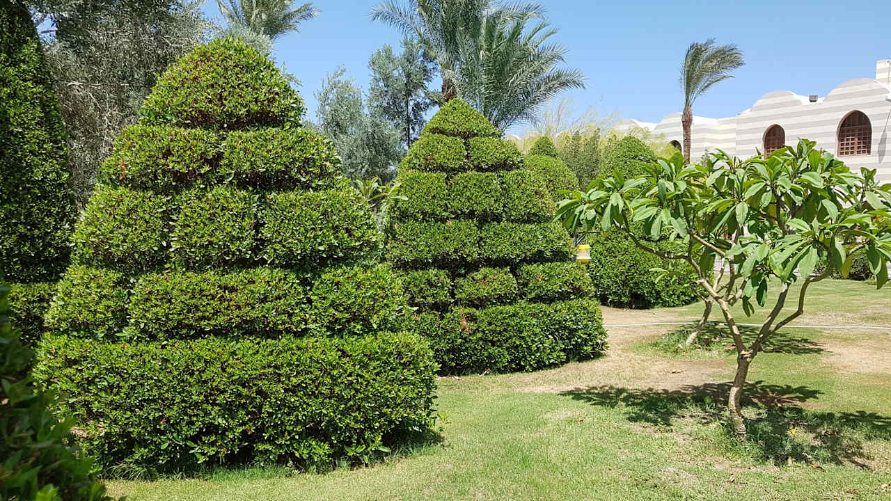 Gartenanlage Jaz Makadi Oasis Resort