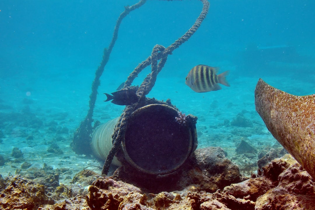 Sport & Freizeit Summer Island Maldives