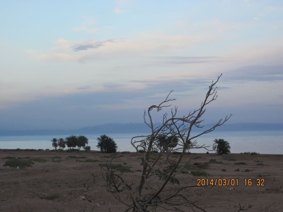 Widok z pokoju Happy Life Village