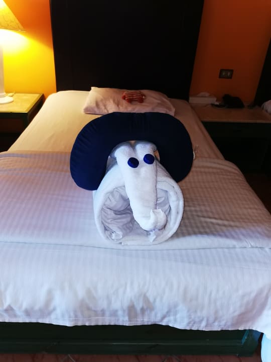 Zimmer Arabia Azur Resort