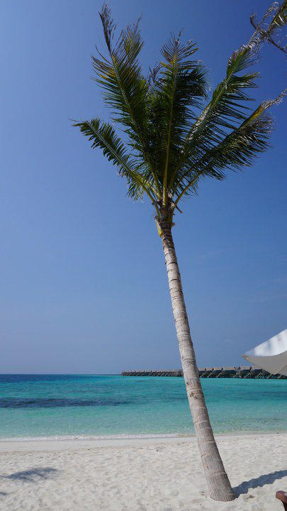 Impressionen Centara Ras Fushi Resort & Spa Maldives