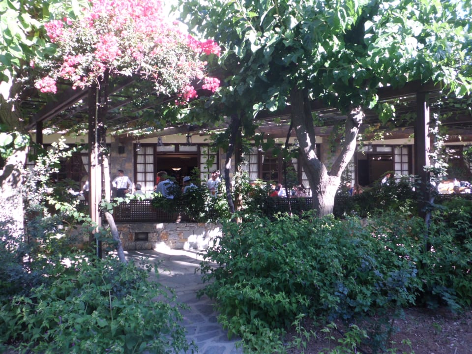 Gartenanlage Apollonia Beach Resort & Spa