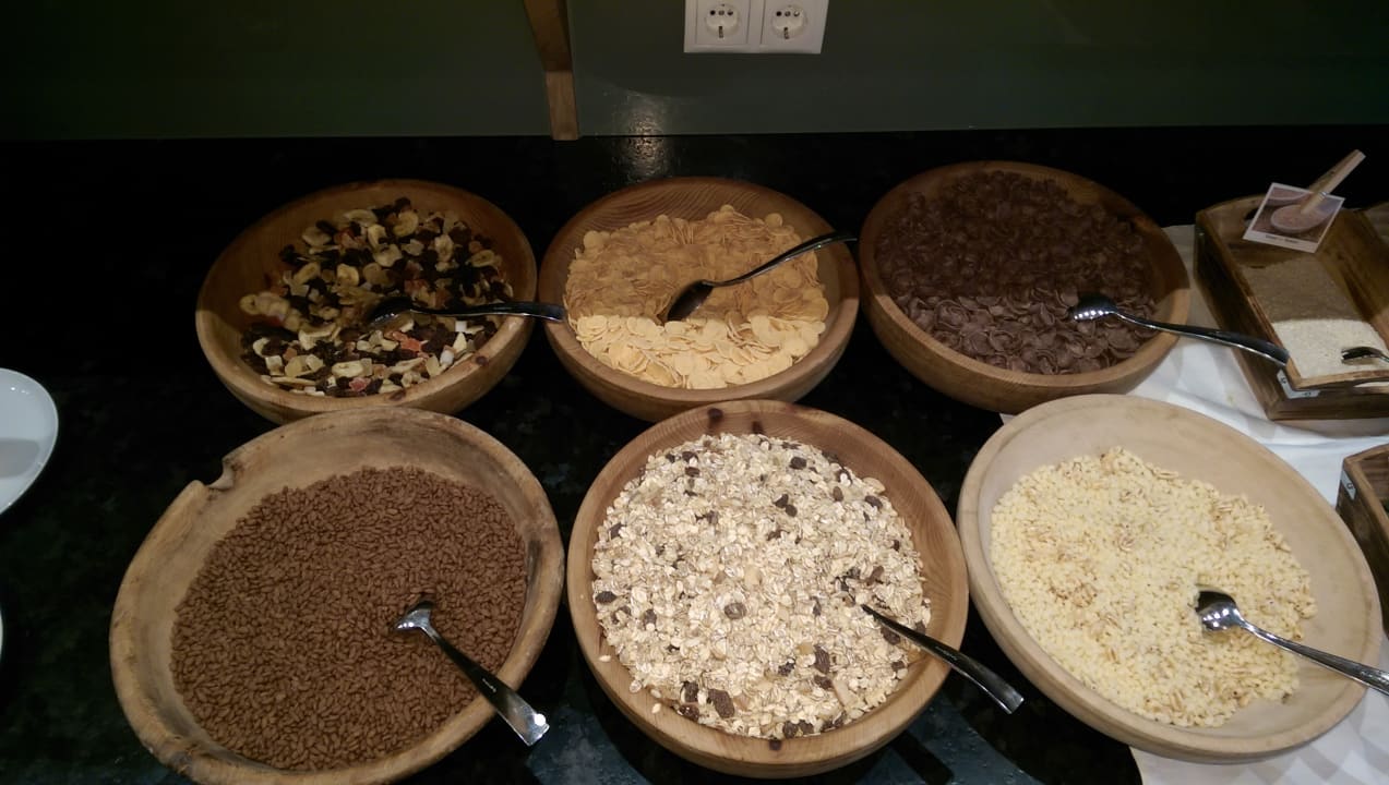 Gastro Molaris Lodge