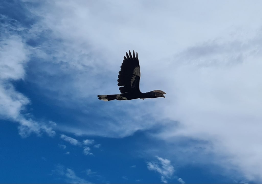 Ausblick Baobab Beach Resort & Spa