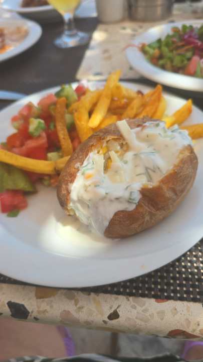 Gastro Seashell Vega