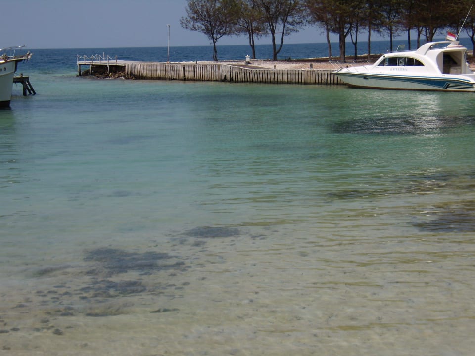 Bootssteg/Hafen Kura Kura Resort