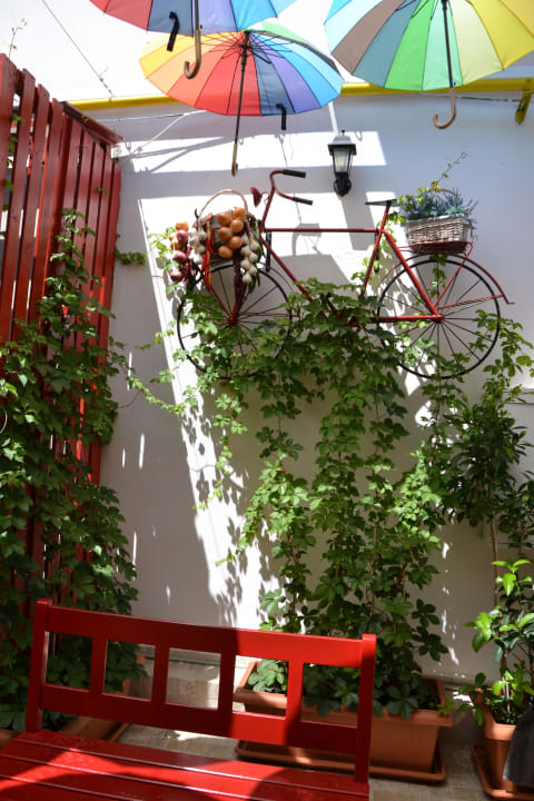 Gartenanlage Hane Family Resort