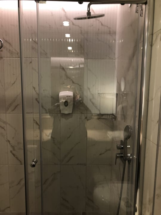 Zimmer Seashell Vega