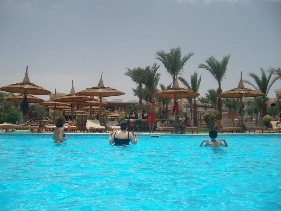 Pool Beach Albatros Resort