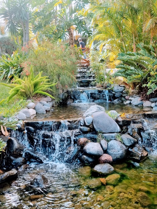 Gartenanlage allsun Hotel Lucana