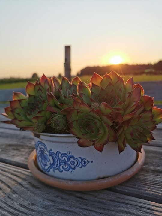 Sonstiges Panoramahof