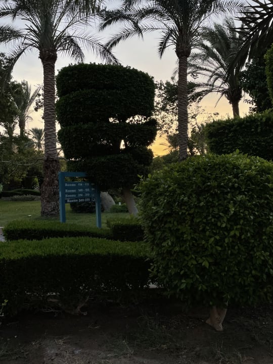 Gartenanlage Golden Beach Resort