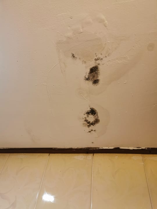 Zimmer Natural Park Resort