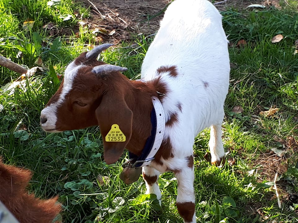 Sonstiges Bauernhof Bernhardenhof