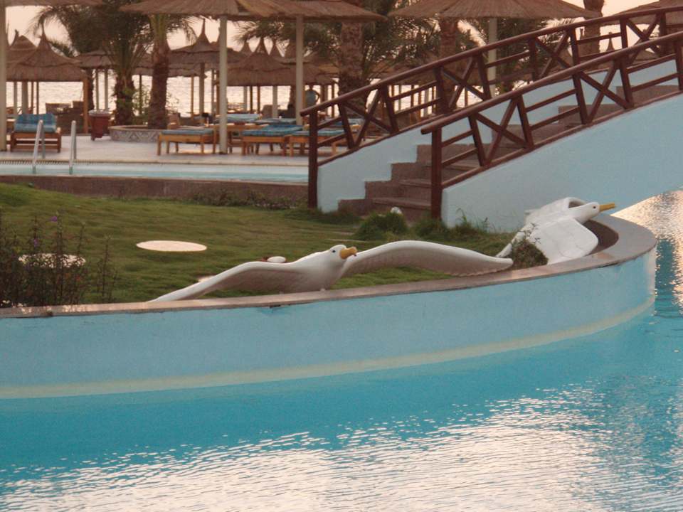 Albatros Beach Albatros Resort