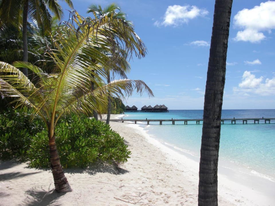 Insel Mirihi Island Resort