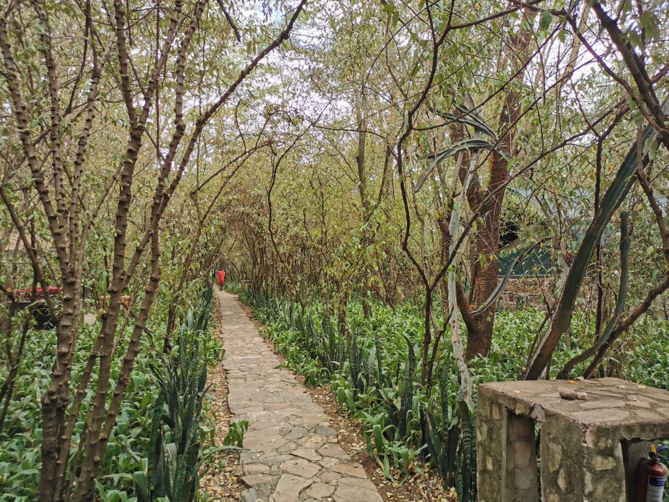 Gartenanlage Aruba-Mara Camp