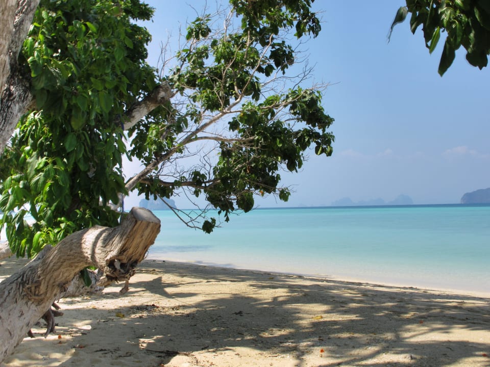 Ausblick The Reef Resort