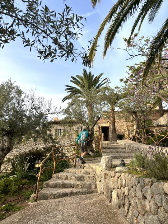 Gartenanlage Hotel Es Port