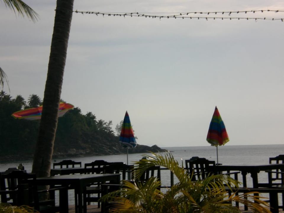 Hotelterrasse Villa cha cha
