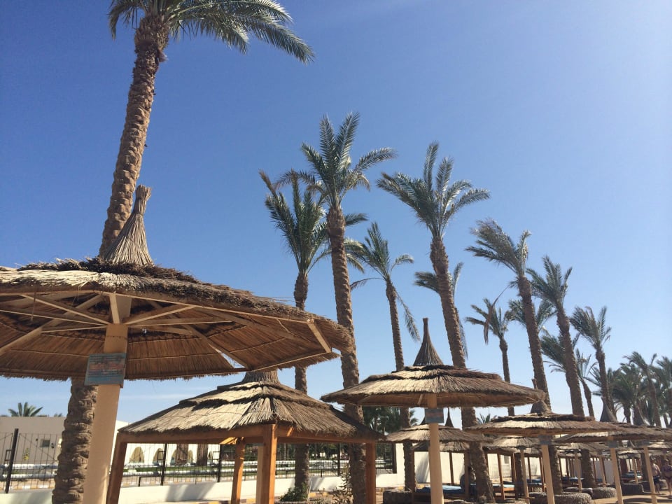 Strandanlage vom Dana Beach Pickalbatros Alf Leila Wa Leila Resort - Neverland Hurghada