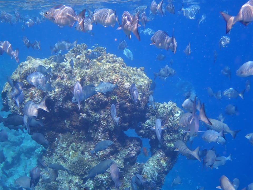 Sport & Freizeit Filitheyo Island Resort