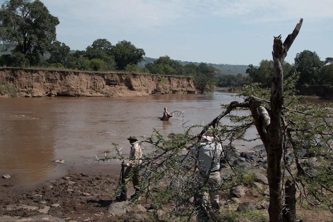 Auf der Walking Safari Royal Mara Safari Lodge