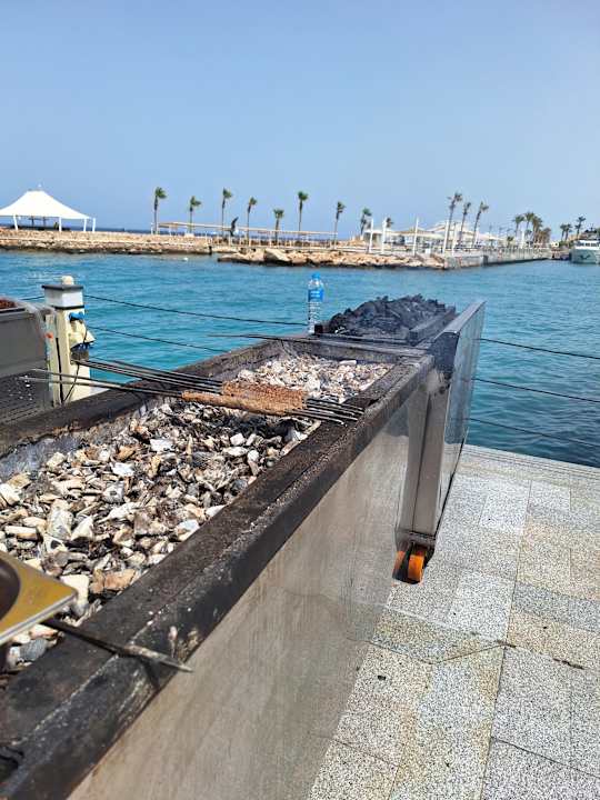 Gastro Pickalbatros Citadel Resort