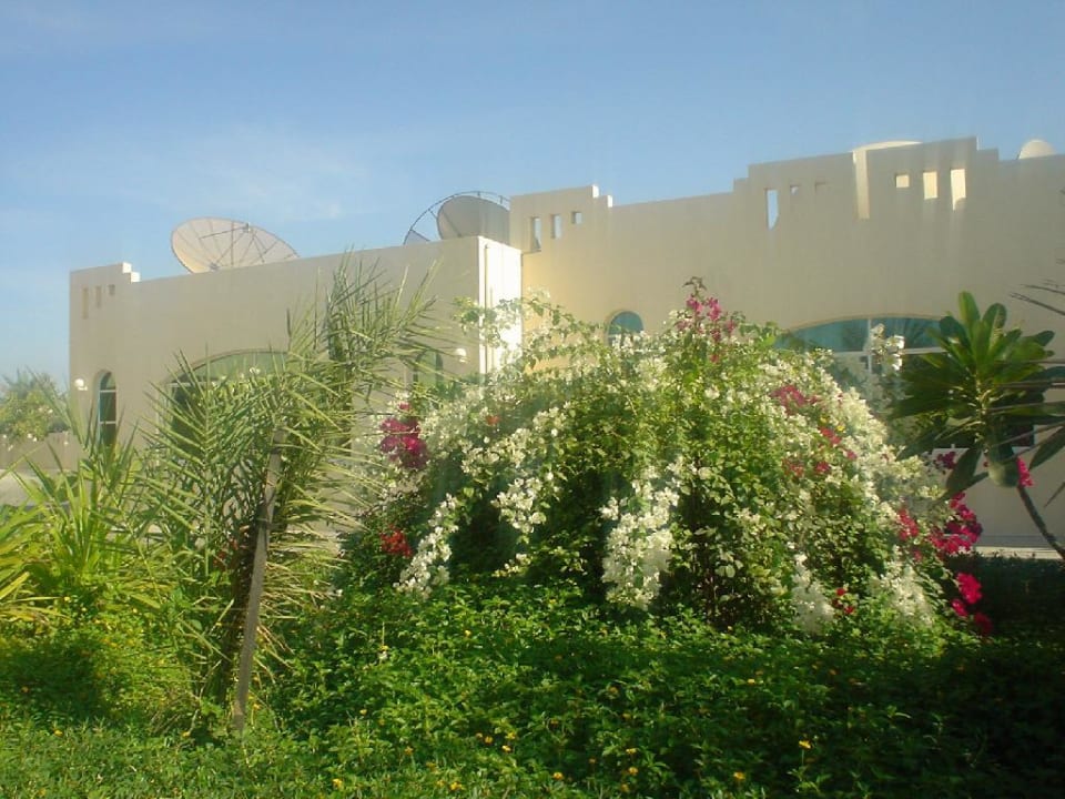 Umm al Quwain Beach Hotel / Garten Umm Al Quwain Beach Hotel