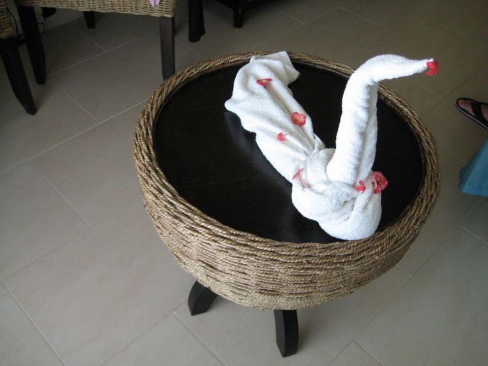 Schwan Royalton Splash Punta Cana