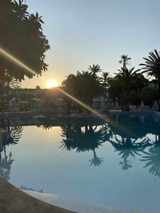 Pool Alcudia Garden Aparthotel