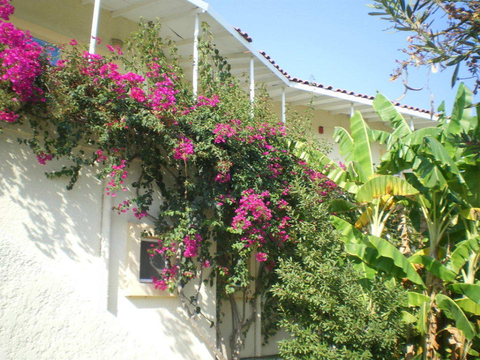 Zimmerzugang Apollon Hotel