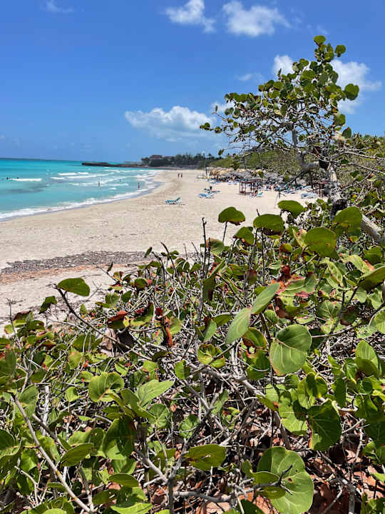 Strand Playa Vista Azul