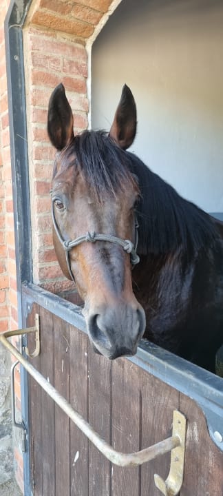 Sport & Freizeit Pałac Ciekocinko Hotel Resort & Wellness