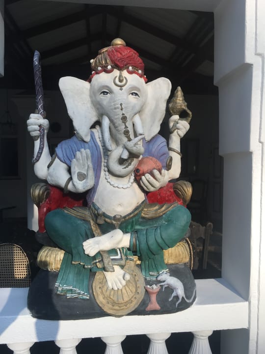 Sonstiges Ayubowan Swiss Lanka Bungalow Resort